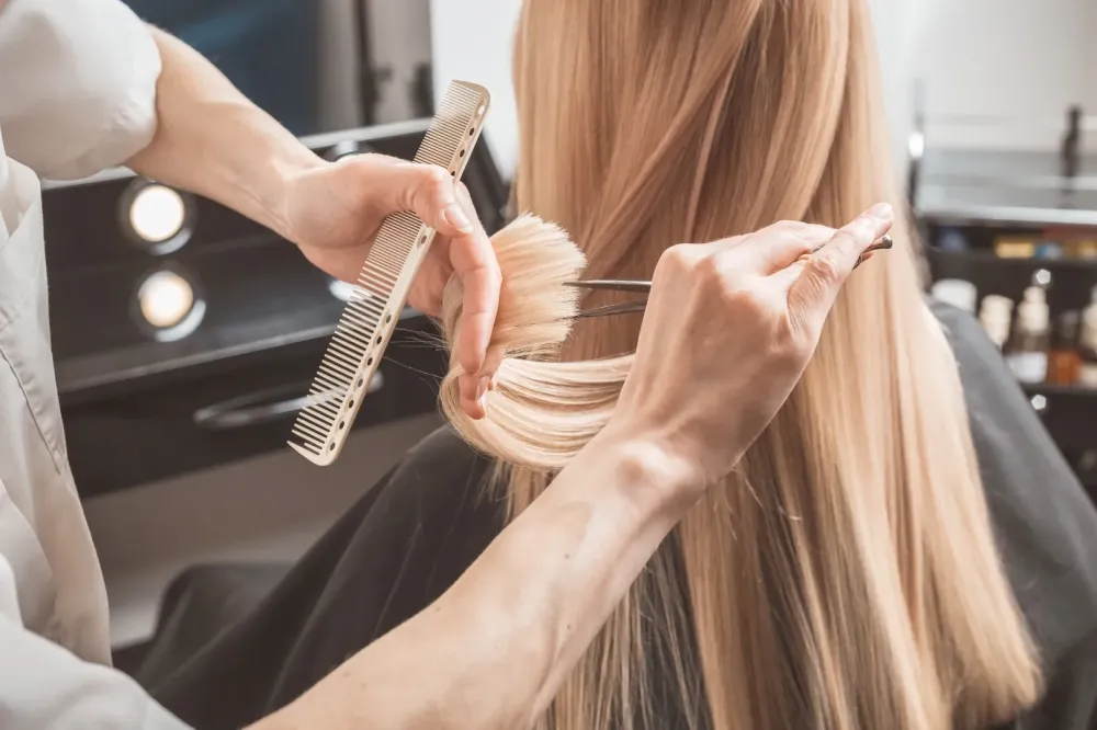 Coiffure femme (3)